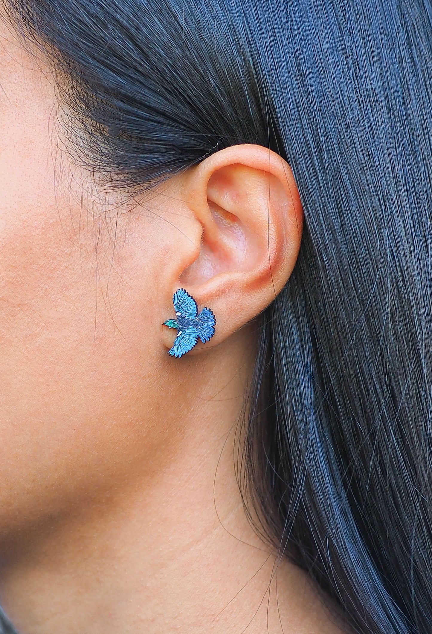 Flying Tui (Kōkō) Wooden Rimu Stud Earrings