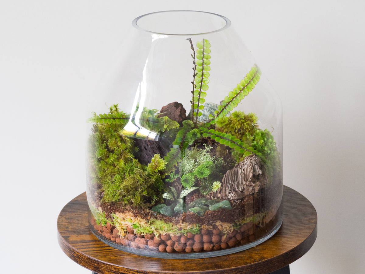 Natural Moss Covered Sticks - 10 Piece Terrarium Pack