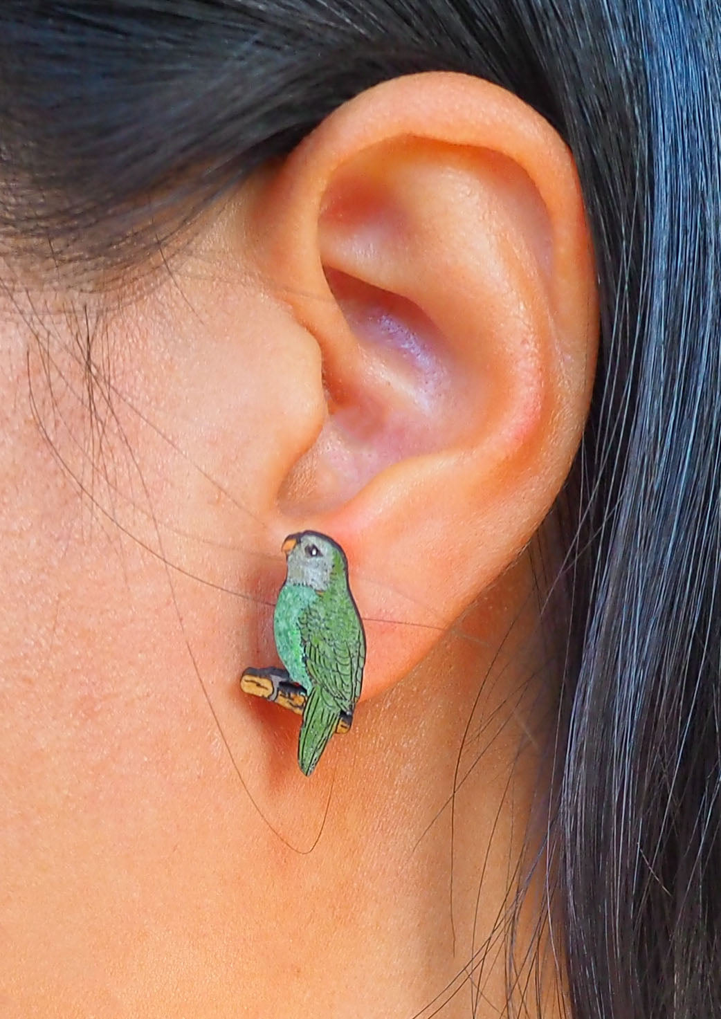 Kakapo (Night parrot) Wooden Rimu Stud Earrings