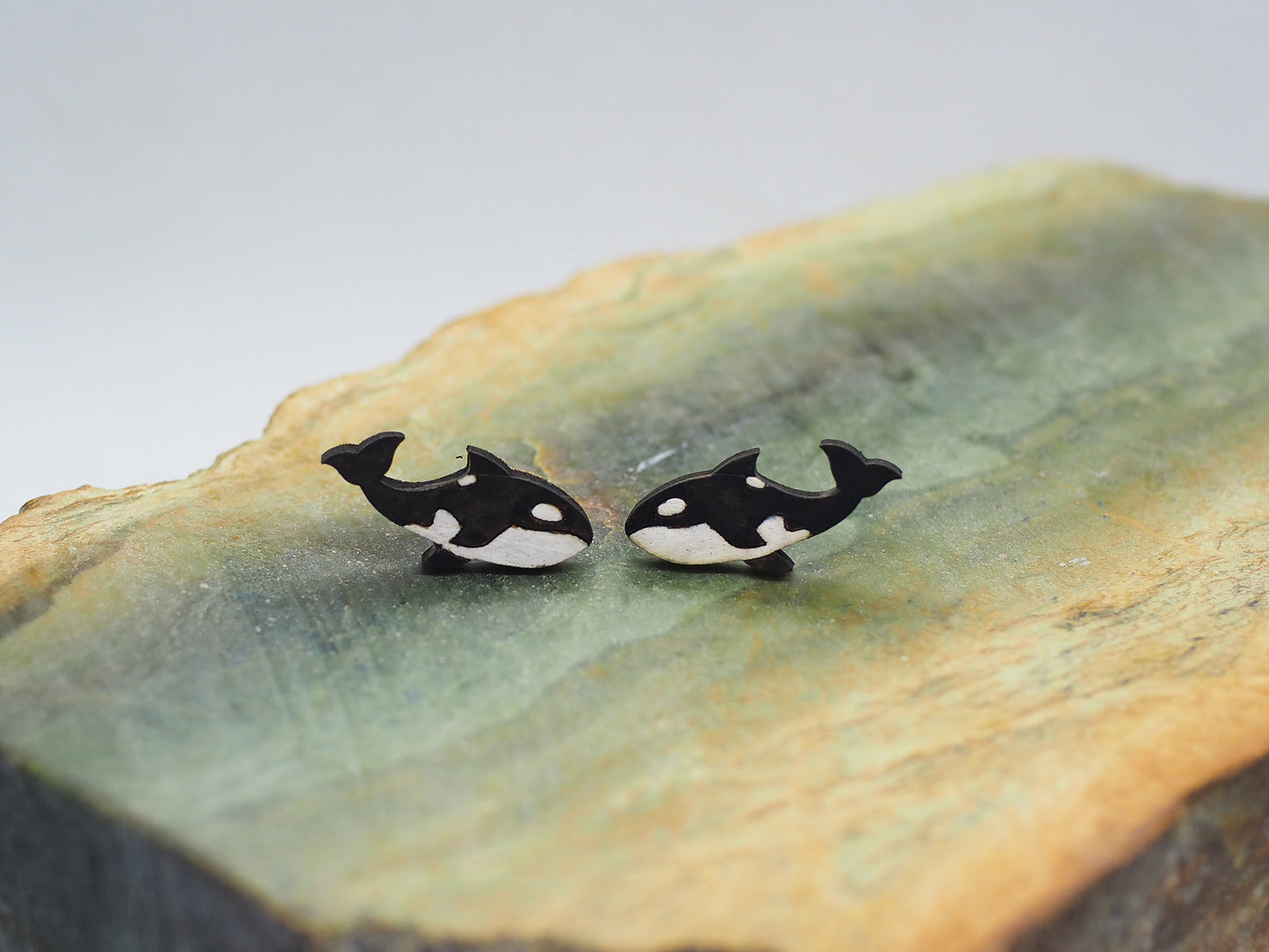 Orca whale Wooden Rimu Stud Earrings