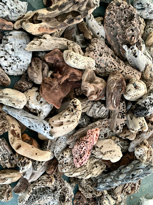 10 Ocean Driftwood Set Ornament for Terrarium Decoration