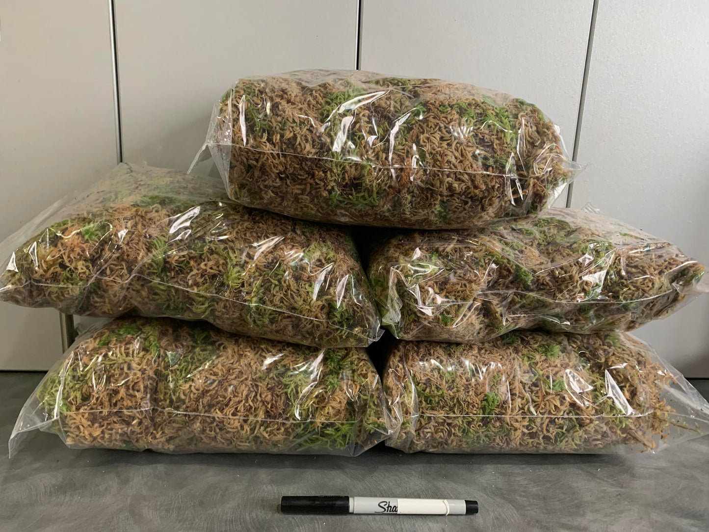 5 Kg. Fresh West Coast Sphagnum Moss (Ready to use)