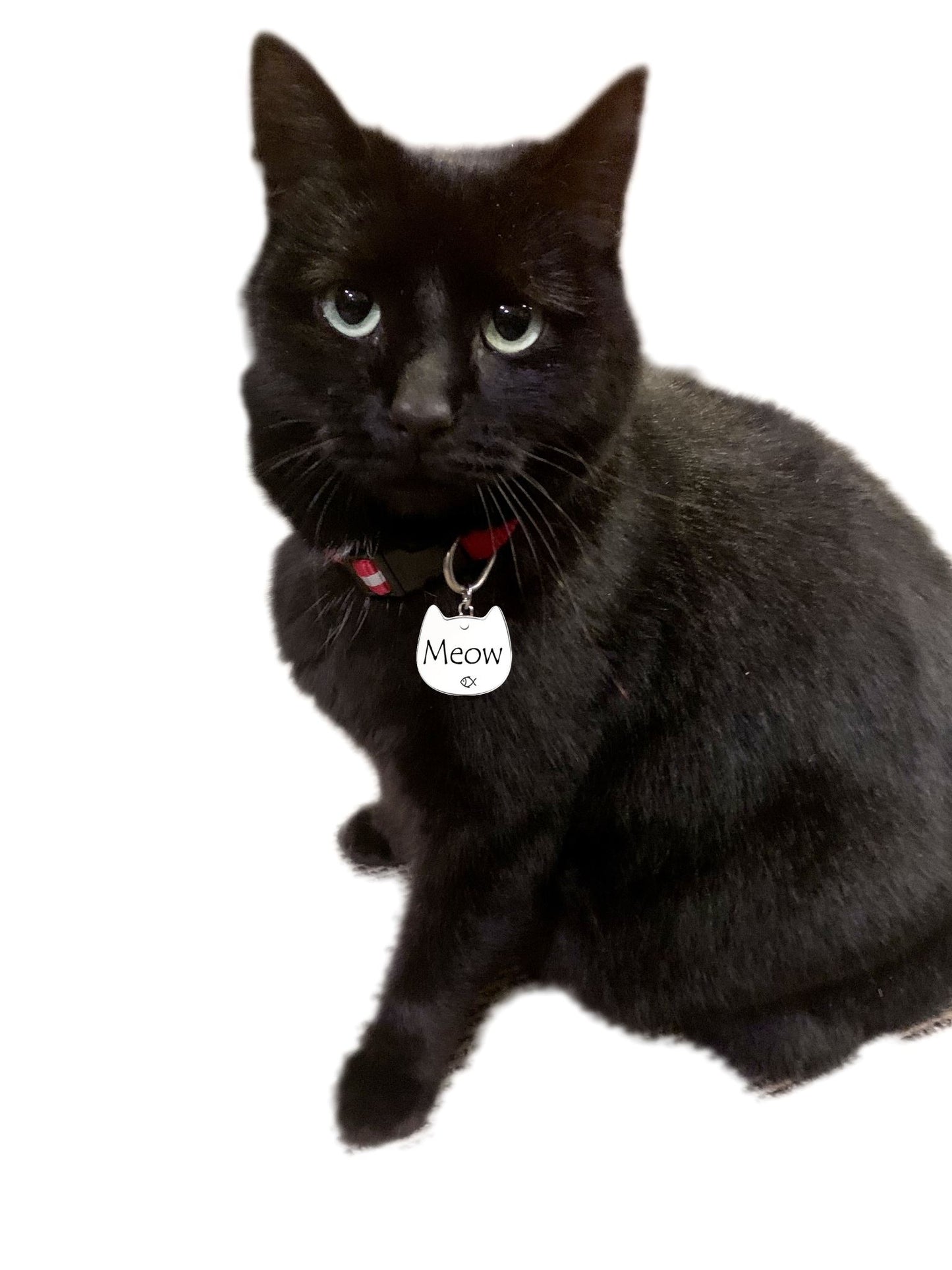 Stainless Steel Cat Shaped Pet Tag