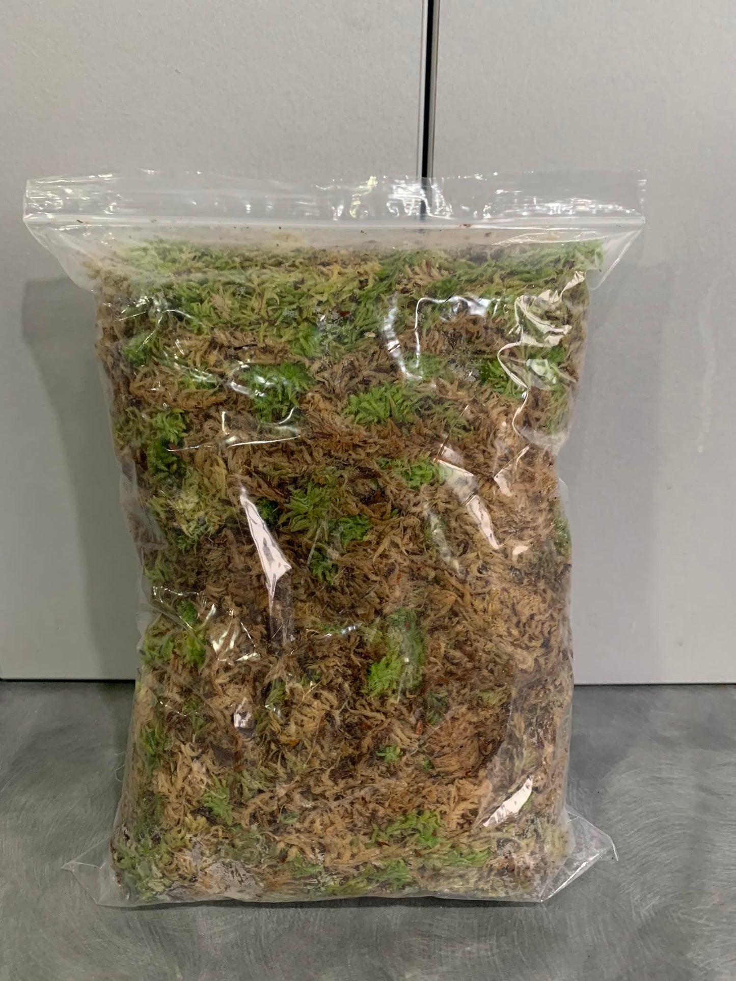 1 Kg. Fresh West Coast Sphagnum Moss (Ready to use)