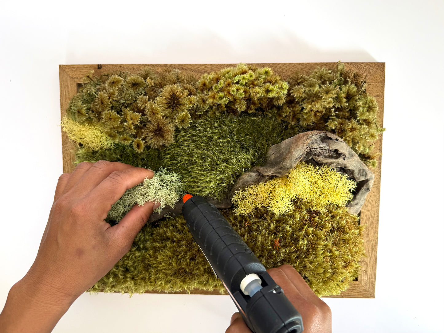 Mixed Preserved Moss – 3 Natural Varieties for Moss Walls & Crafts