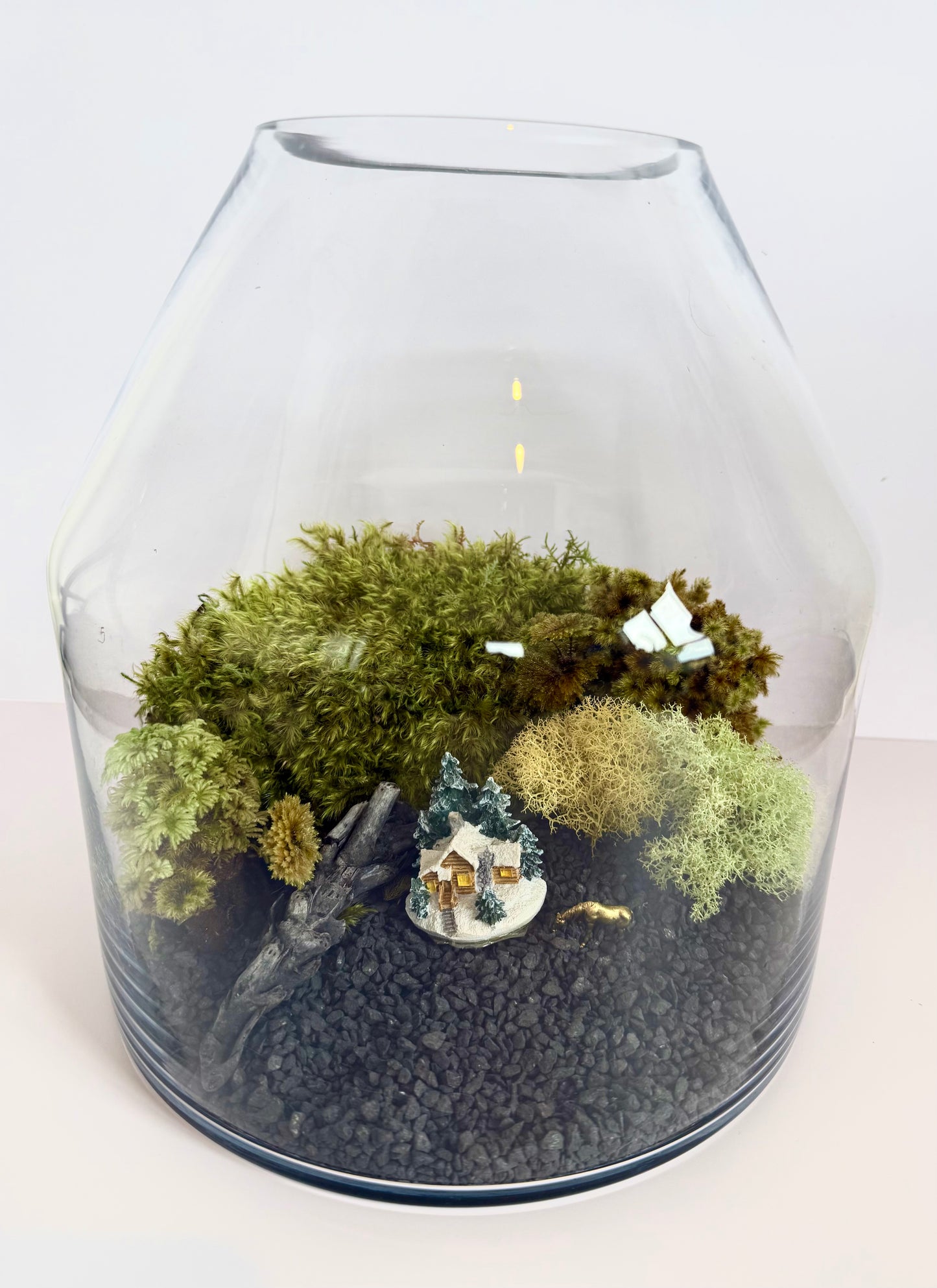 Mixed Preserved Moss – 3 Natural Varieties for Moss Walls & Crafts