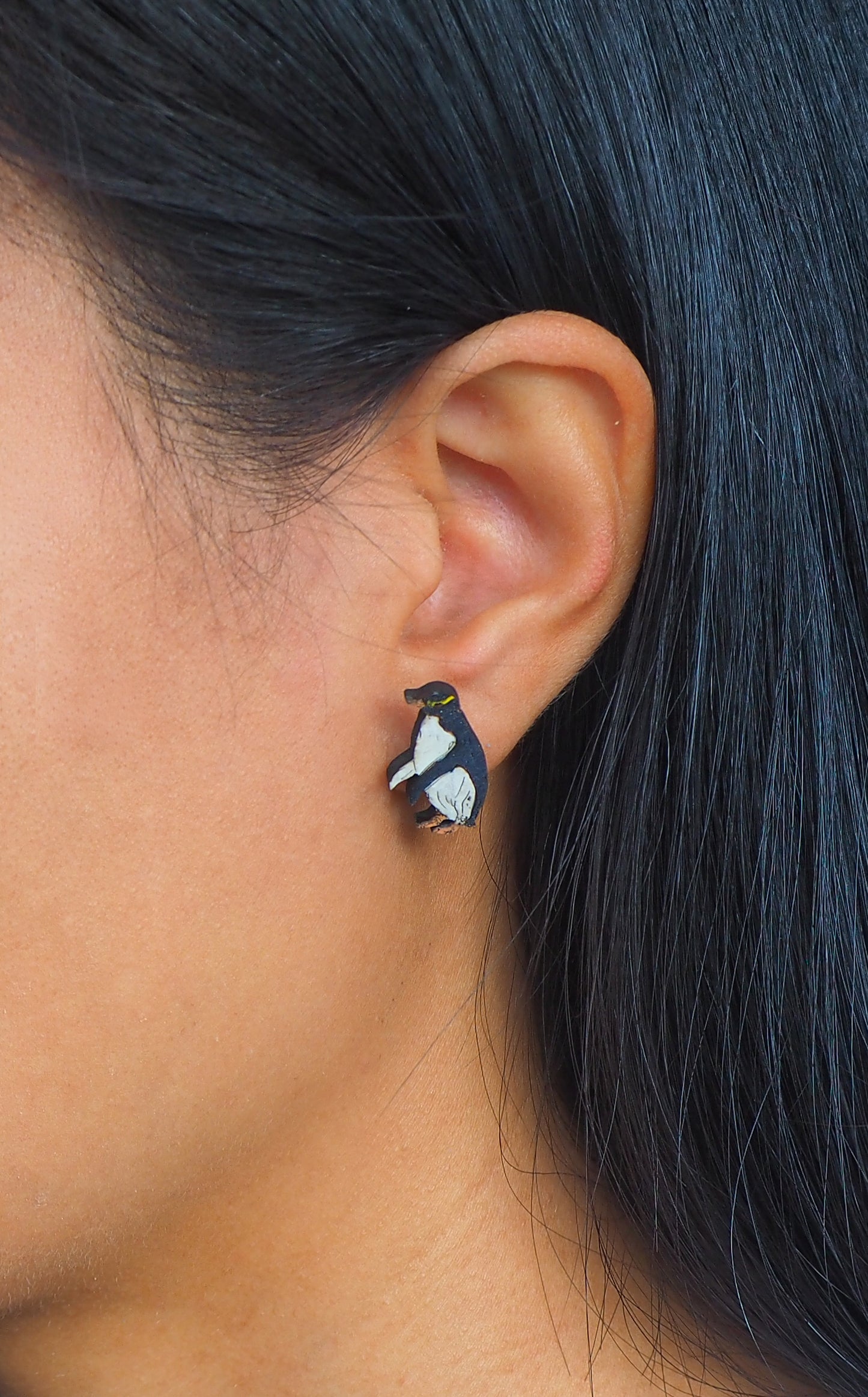 Yellow eyed penguin (Hoiho) Wooden Rimu Stud Earrings