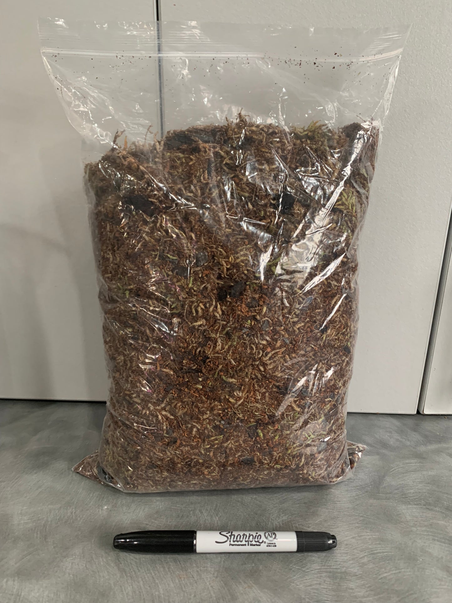 Terrarium Substrate, Ready to use