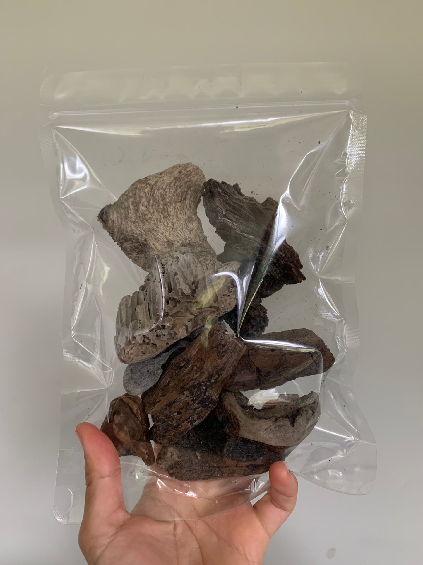 10 Ocean Driftwood Set Ornament for Terrarium Decoration