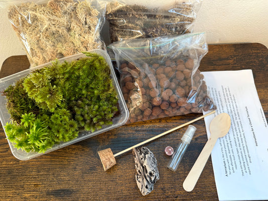 DIY Starter Magical Moss Terrarium Kit