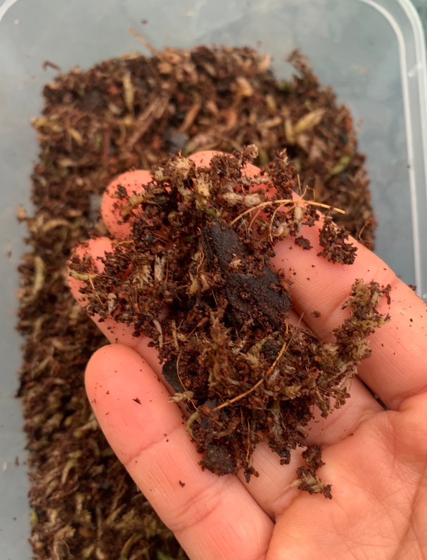 Terrarium Substrate, Ready to use