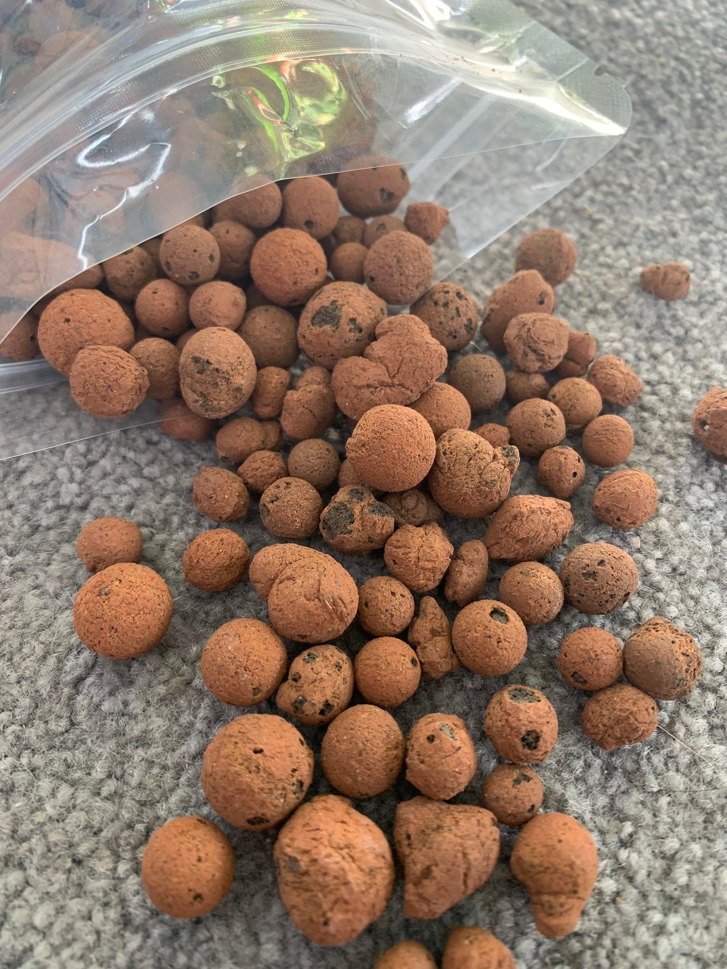 Leca – Canna Aqua Clay Pebbles (Drainage Layer for Terrariums)