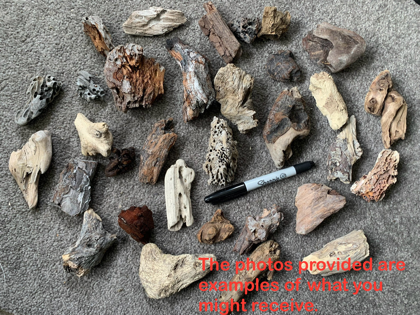 10 Ocean Driftwood Set Ornament for Terrarium Decoration