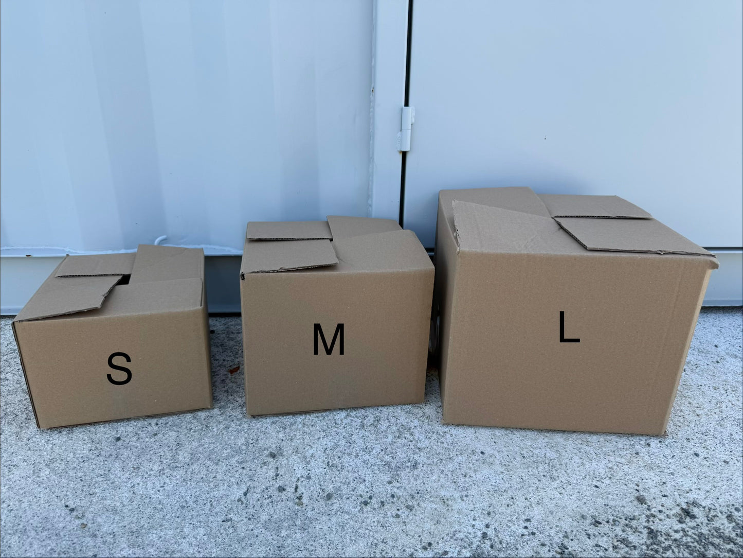 Bulk Living Mixed Moss - Large box
