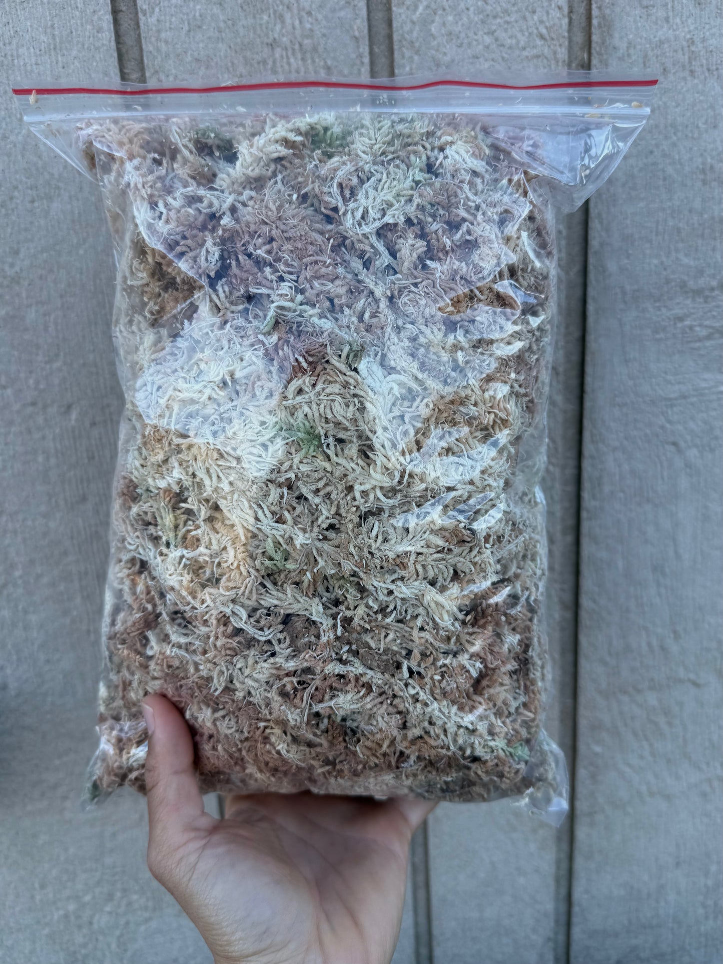 Dried West Coast Sphagnum Moss