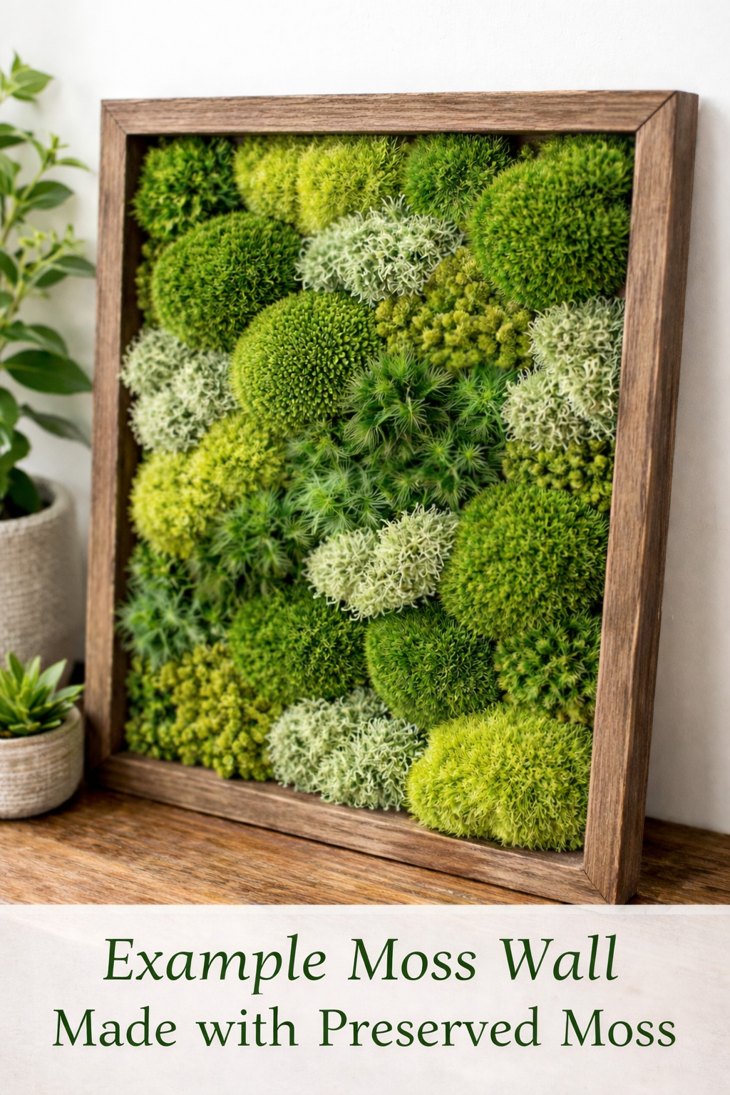 Mixed Preserved Moss – 3 Natural Varieties for Moss Walls & Crafts