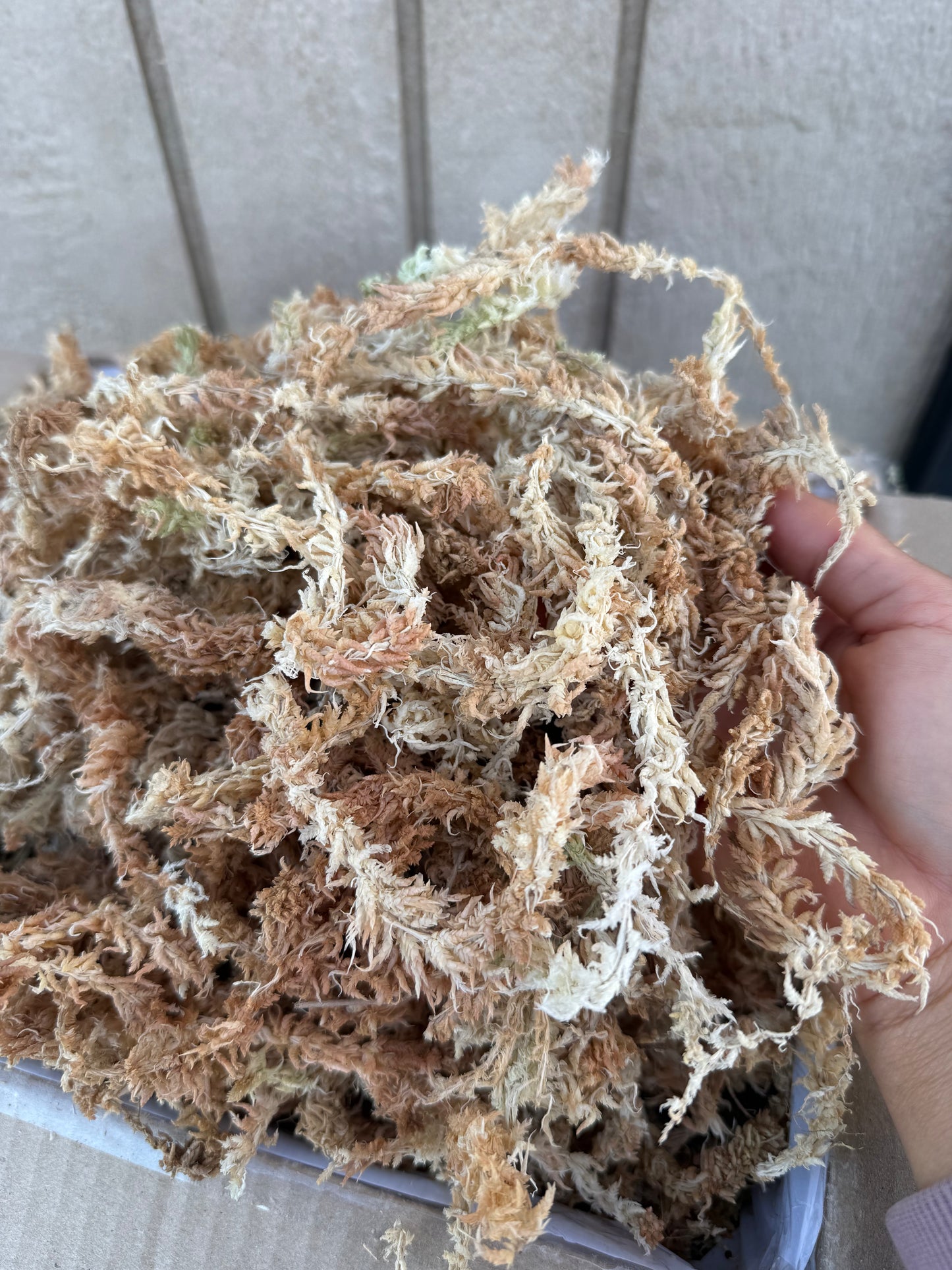 Bulk Pack Dried Long-Strand West Coast Sphagnum Moss
