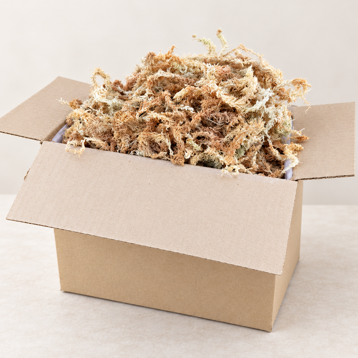 Bulk Pack Dried Long-Strand West Coast Sphagnum Moss
