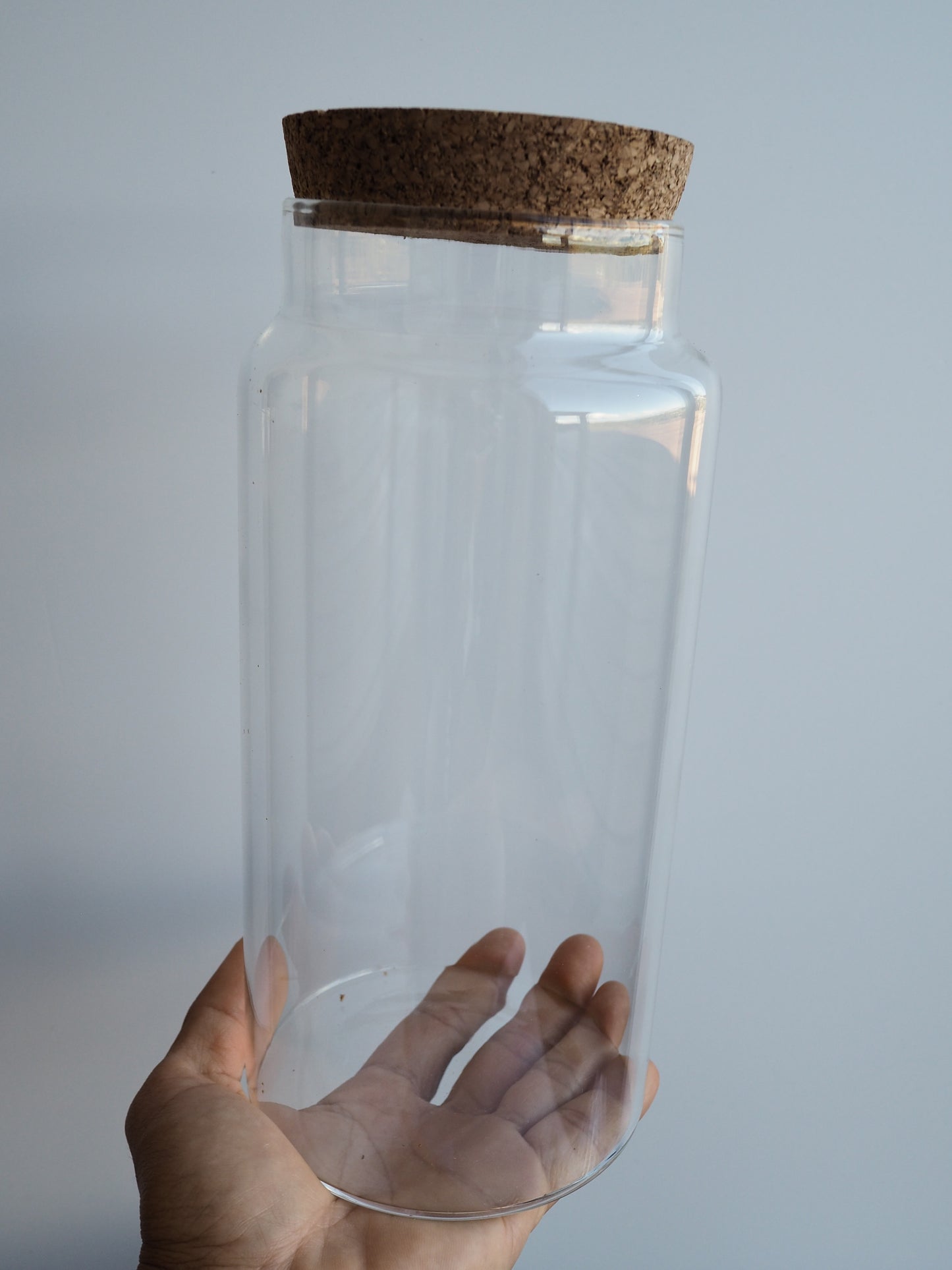 DIY Full Terrarium Starter Kit – Glass Jar, Plants & Tools Included