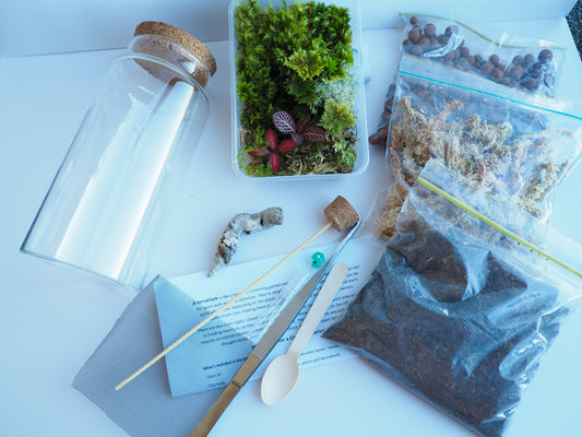 DIY Full Terrarium Starter Kit – Glass Jar, Plants & Tools Included