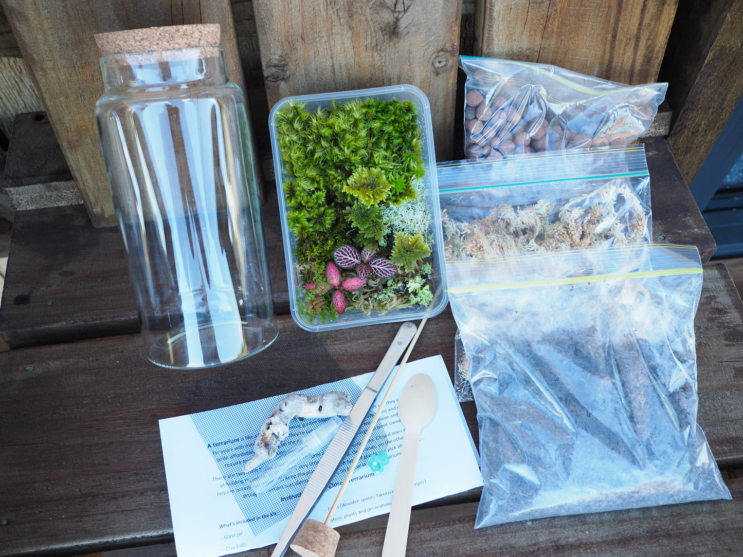 DIY Full Terrarium Starter Kit – Glass Jar, Plants & Tools Included