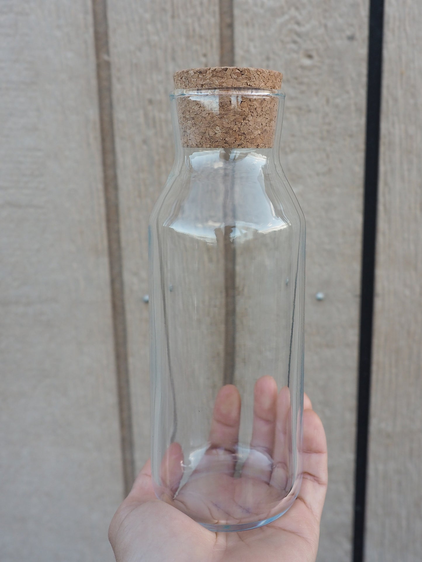 DIY Full Terrarium Starter Kit – Glass Jar, Plants & Tools Included