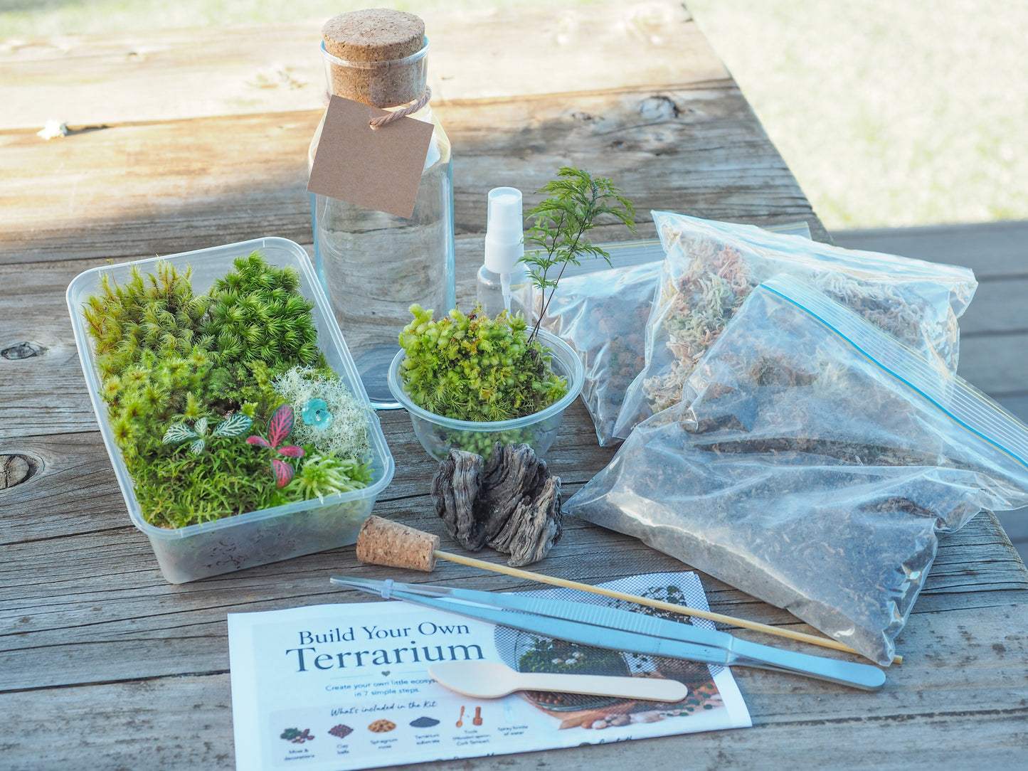 DIY Full Terrarium Starter Kit – Glass Jar, Plants & Tools Included